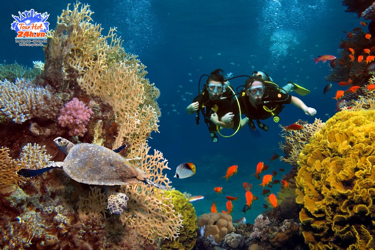 tour-maldives-tron-goi-5-sao tour-maldives-tron-goi-5-sao