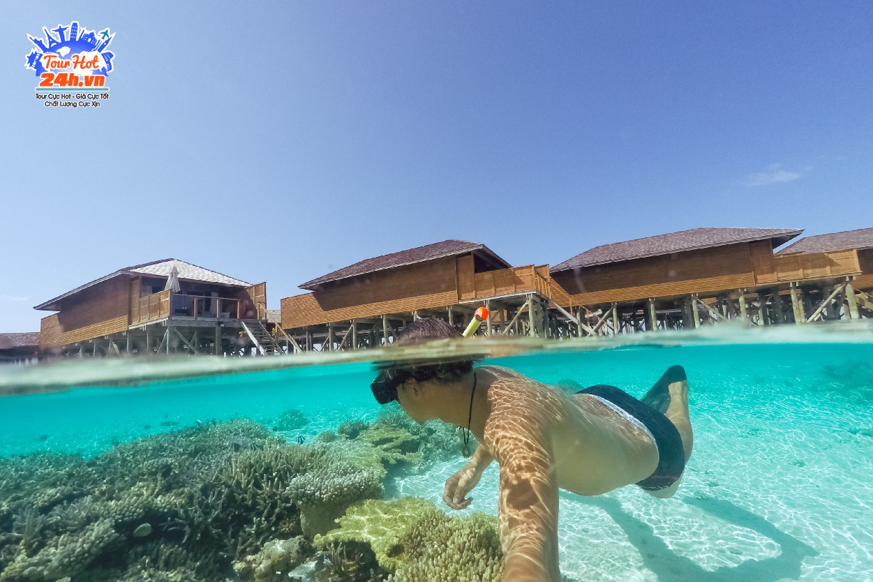 tour-maldives-tron-goi-5-sao tour-maldives-tron-goi-5-sao
