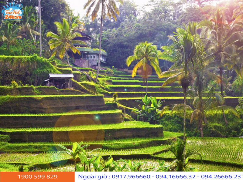 tour du lịch Bali 4 ngày 3 đêm