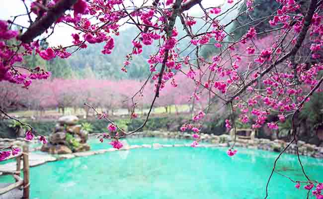 đi du lịch Đài Loan mùa nào đẹp nhất