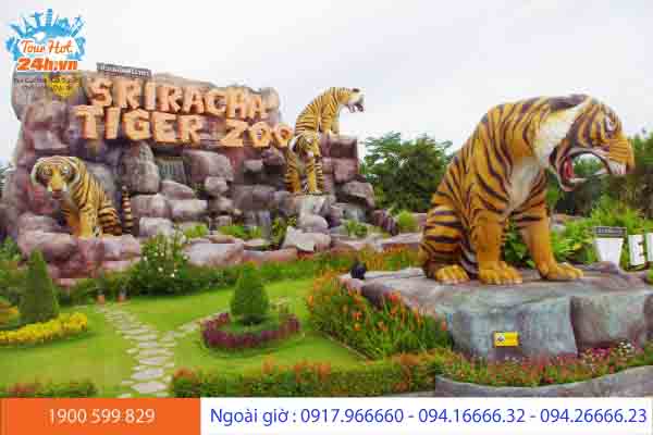 Trại hổ Sriracha Tiger Zoo