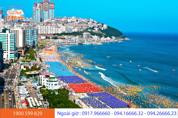 bai-bien-haeundae-han-quoc-1-3