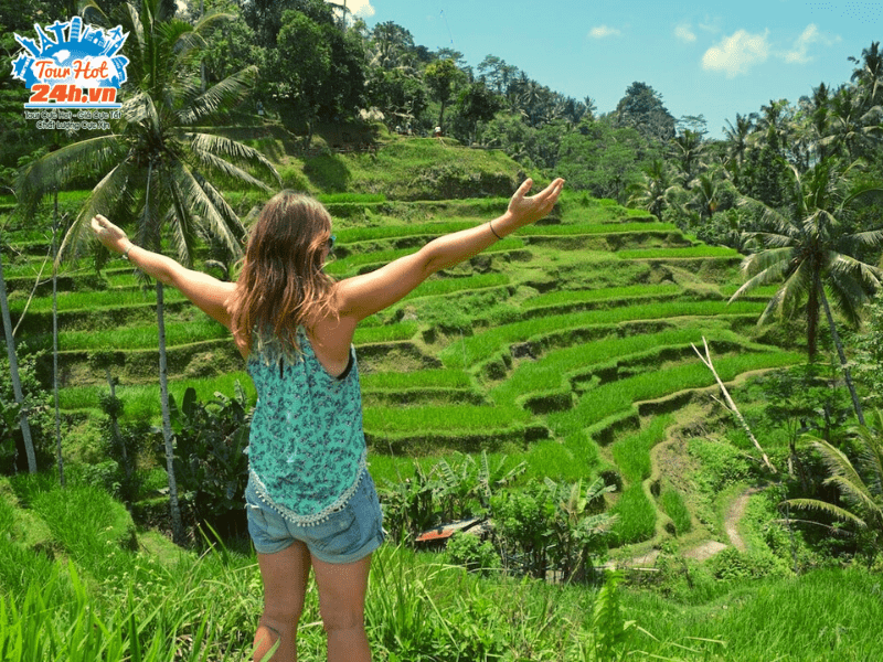 check-in-ruong-bac-thang-Tegalalang-bali check-in-ruong-bac-thang-Tegalalang-bali
