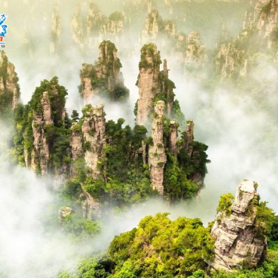 cong-vien-truong-gia-gioi-1