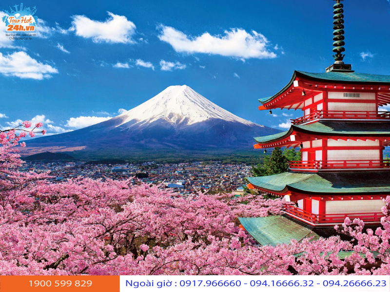 Nếu bạn muốn khám phá vẻ đẹp tựa thiên đường của núi Phú Sĩ - đỉnh núi cao nhất của Nhật Bản, hãy xem hình ảnh đáng ngưỡng mộ này. Dưới chân núi là các ngôi đền linh thiêng và hàng rừng hoa anh đào khiến cho cảnh sắc vô cùng huyền ảo.