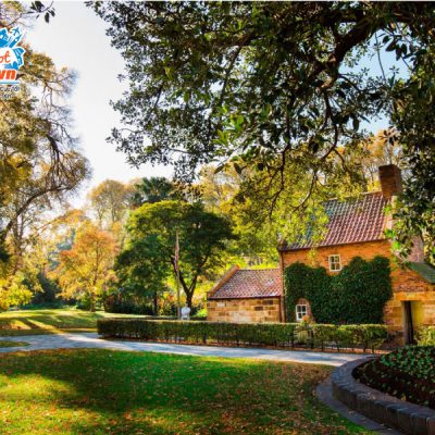 vuon-thuc-vat-fitzroy-garden