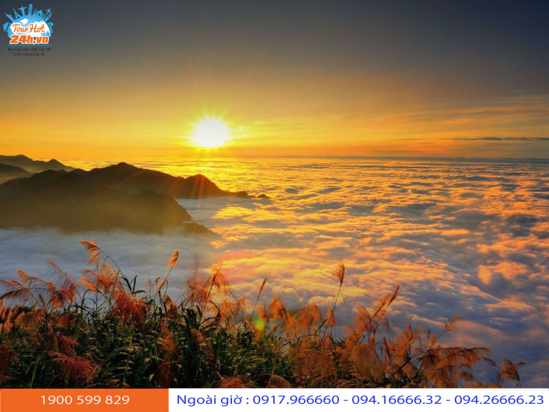 Núi A Lý Sơn Đài Loan với phong cảnh như chốn bồng lai