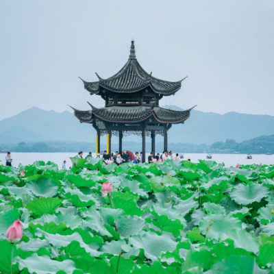 tay-ho-tour-hoang-son-thuong-hai-6n5d