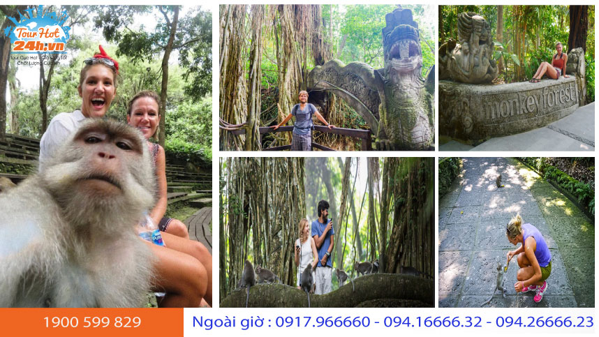 du-khach-tham-rung-khi-ubud-bali