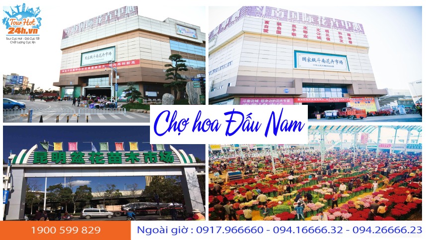 cho-hoa-dau-nam-o-dau