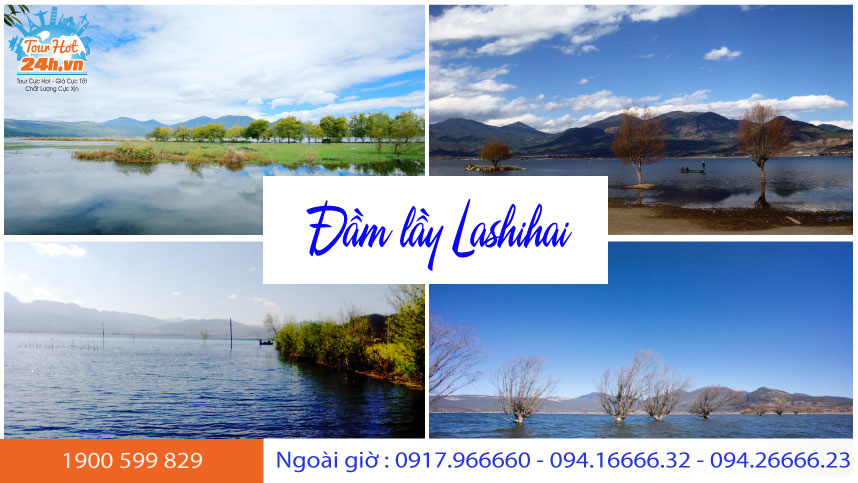 dam-lay-lashihai