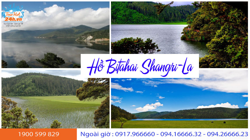 gioi-thieu-ho-bitahai