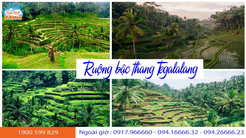 gioi-thieu-ruong-bac-thang-tegalalang