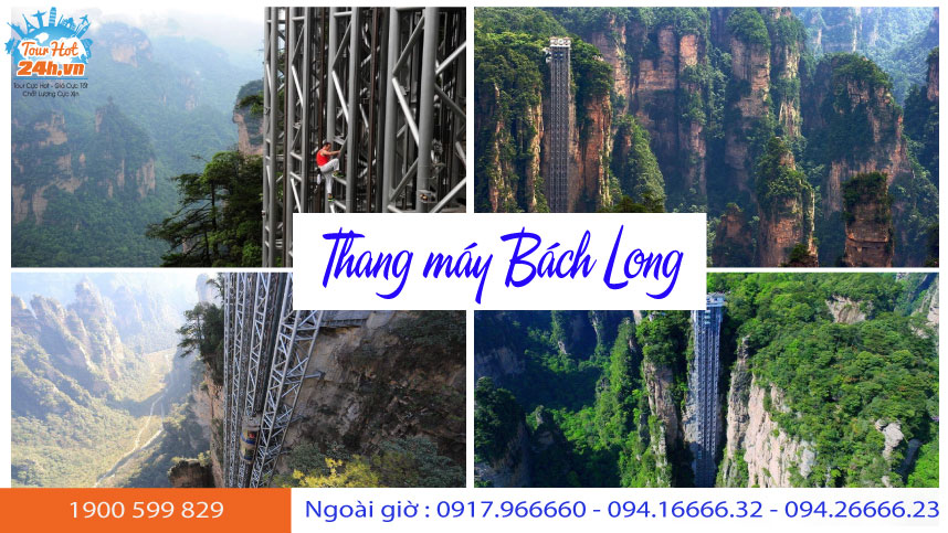 gioi-thieu-thang-may-bach-long