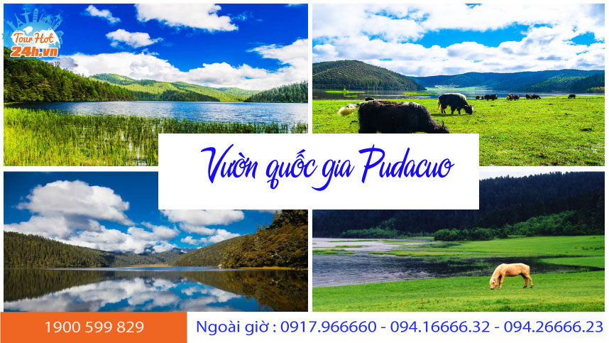 gioi-thieu-vuon-quoc-gia-pudacuo