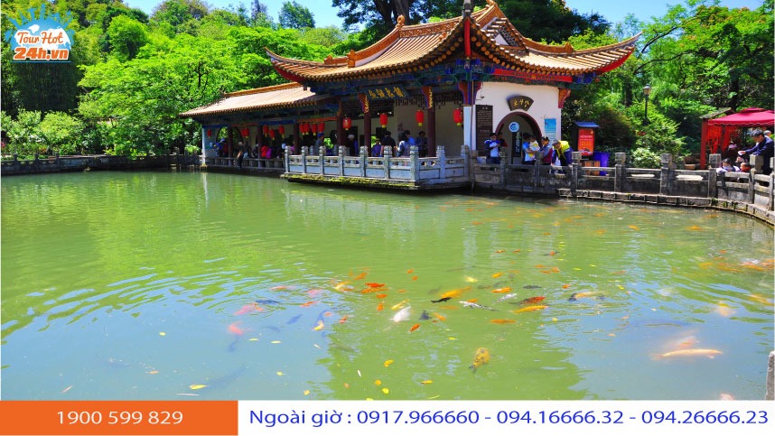 ho-ca-cong-vien-hac-long-dam