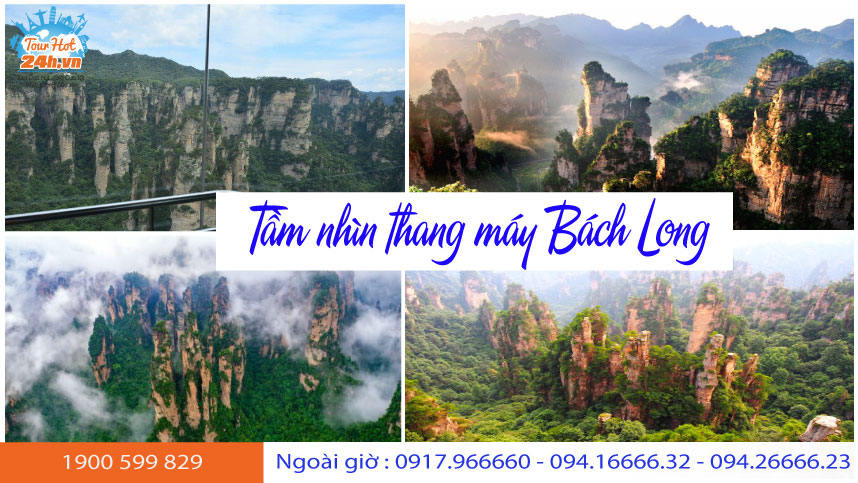 tam-nhin-thang-may-bach-long