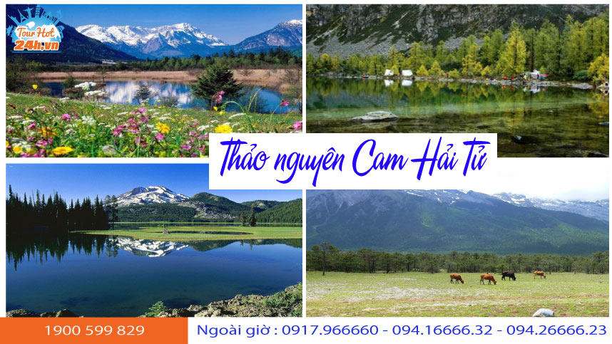 thao-nguyen-cam-hai-tu