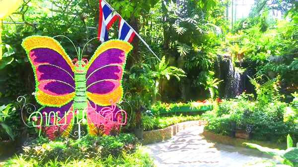 vuon-buom-thai-lan-butterfly-garden-h1 vuon-buom-thai-lan-butterfly-garden-h1