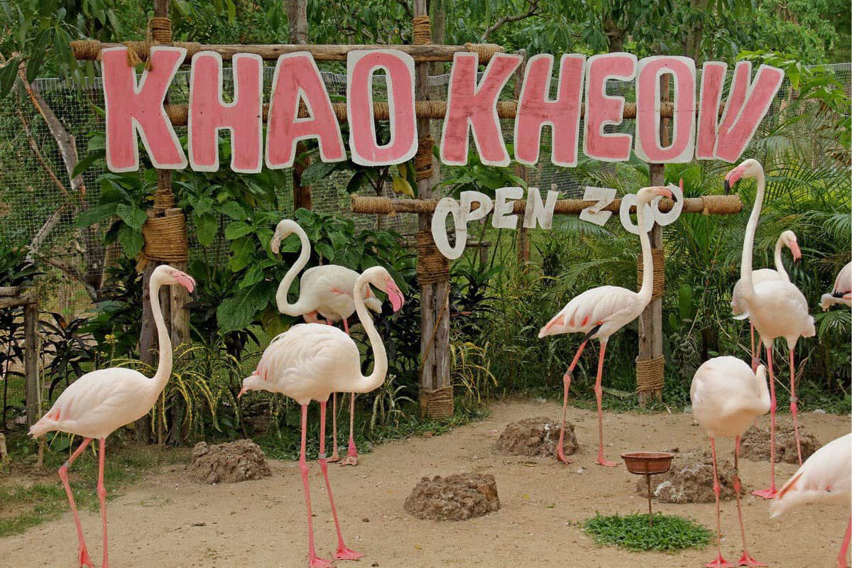 vuon-thu-Khao-Kheow-2 vuon-thu-Khao-Kheow-2