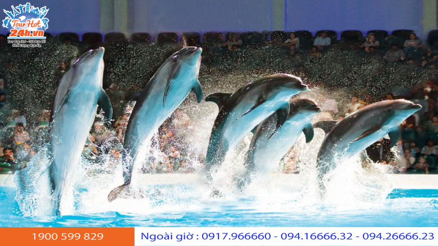 Dubai-Dolphinarium