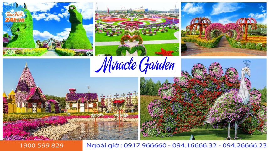 Khu vườn hoa lớn nhất thế giới ở Dubai (Miracle Garden) đẹp mê mẩn ...