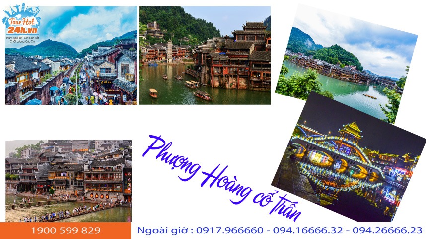 tim-hieu-phuong-hoang-co-tran