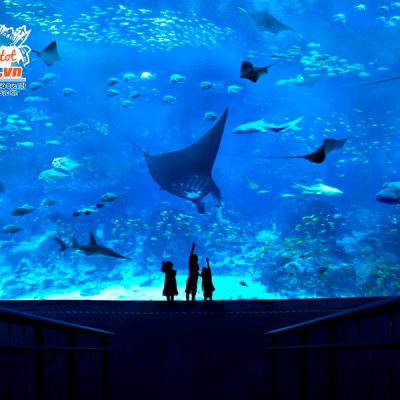 cong-vien-hai-duong-sea-Aquarium