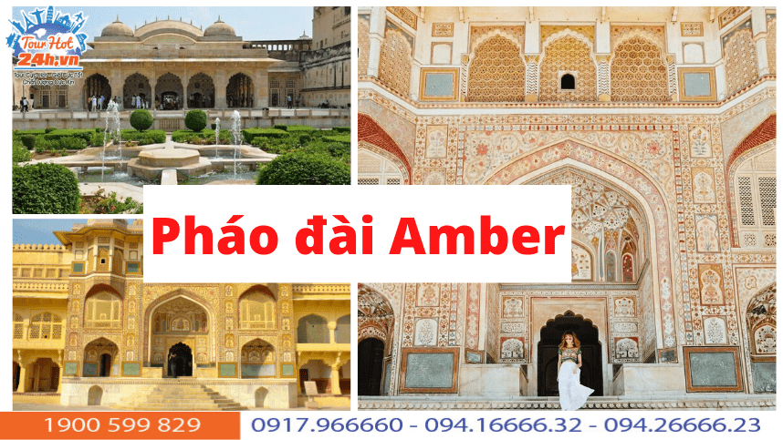 gioi-thieu-phao-dai-amber