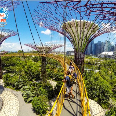 nhung-khu-vuon-ben-vinh-Gardens-by-the-Bay