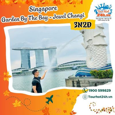 tour-singapore-garden-by-the-bay-jewel-changi-3n2d