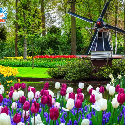 vuon-hoa-Keukenhof