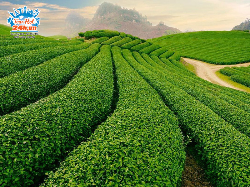 mai-chau-1 Mai Châu