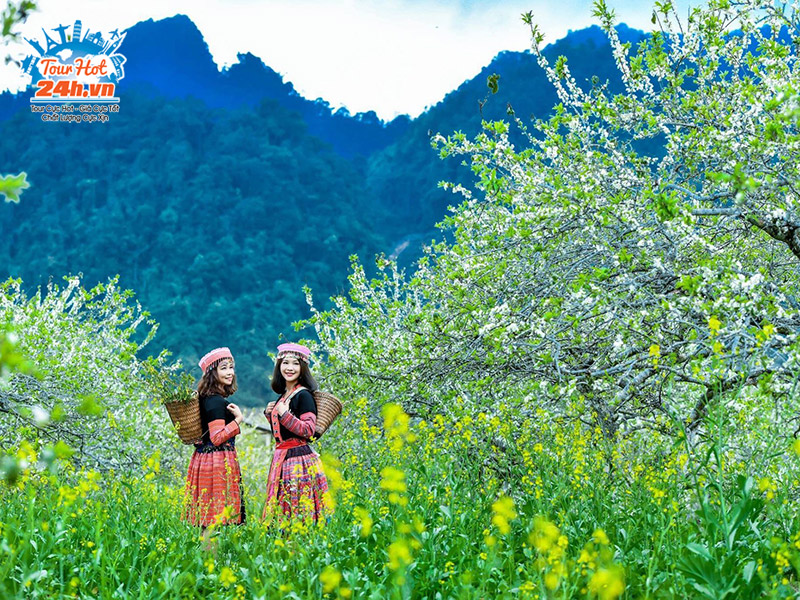 moc-chau-1 Mộc Châu