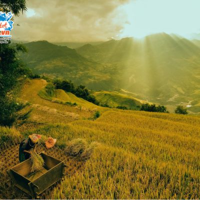 mu-cang-chai-mua-thu