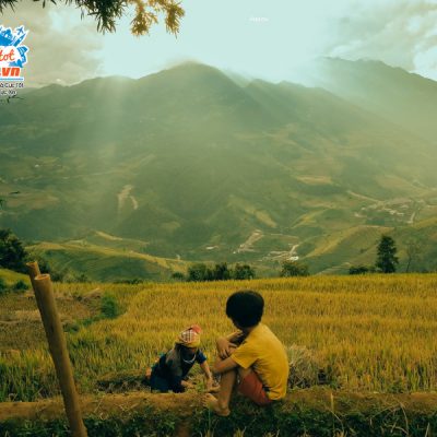 mu-cang-chai-mua-thu-vang