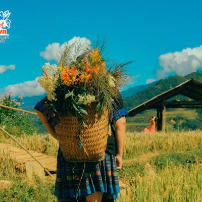 mu-cang-chai-mua-vang