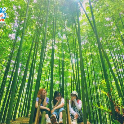 rung-truc-pu-luong-2