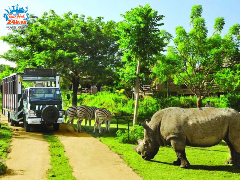 vinpearl-safari-1 Vinpearl Safari