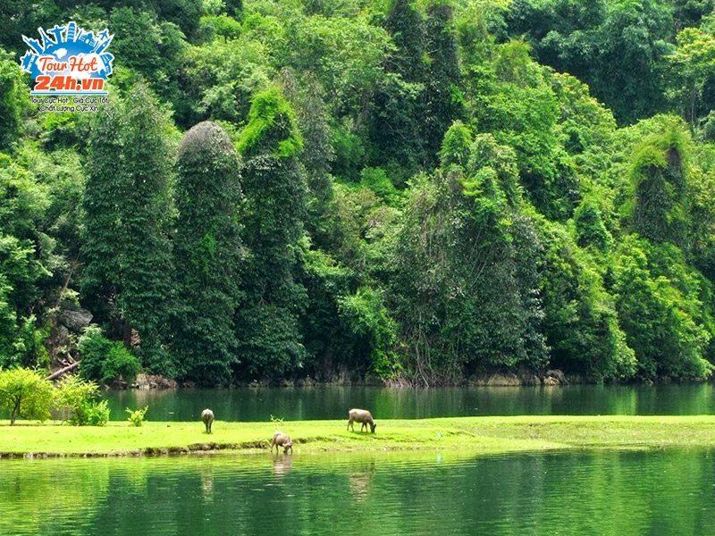 vuon-quoc-gia-ba-be Vườn quốc gia Ba Bể