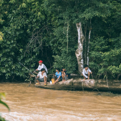 Vườn quốc gia Nam Cát Tiên