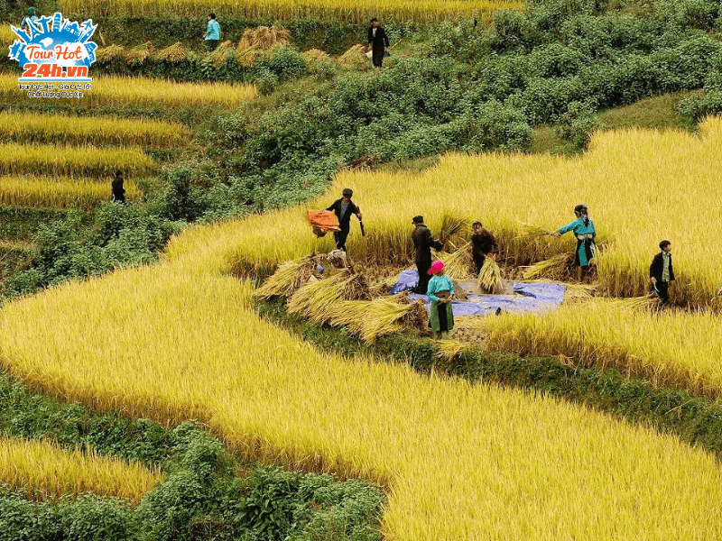 Hoang-Su-Phi-Ha-Giang