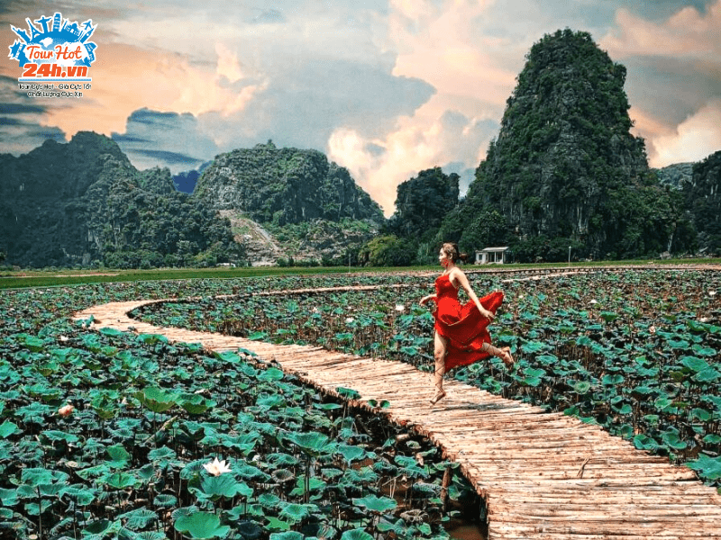 Top 10 điểm đến đẹp nhất Ninh Bình bạn nhất định phải check-in cho đủ | Tourhot24h.vn