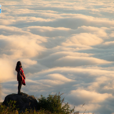 san-may-tay-con-linh