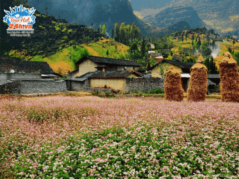 Làng-văn-hóa-Lũng-Cẩm_1