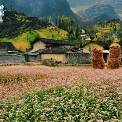 Làng-văn-hóa-Lũng-Cẩm_1