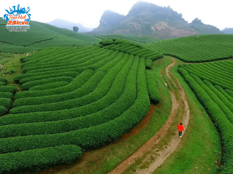 doi-che-moc-chau