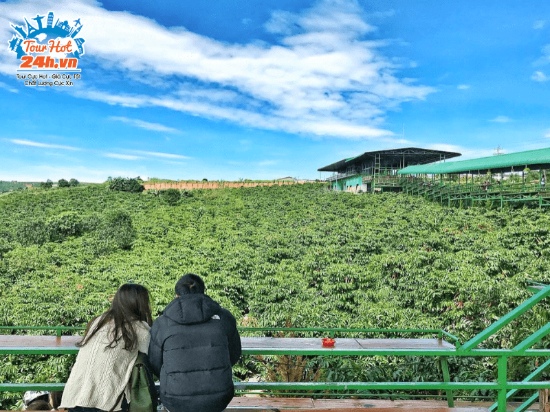 cafe-me-linh-da-lat- cafe-me-linh-da-lat-