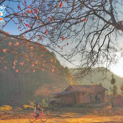 lang-van-hoa-lung-cam