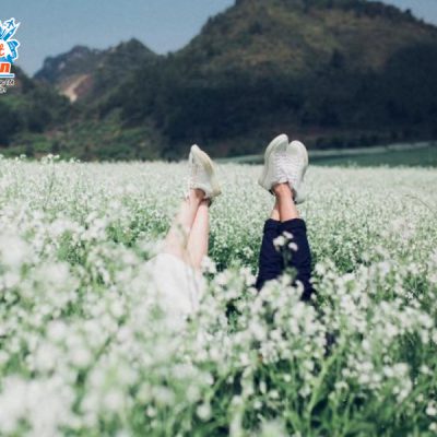 moc-chau-hoa-cai-trang